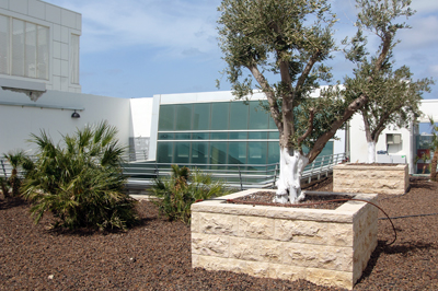 Haifa - Intel